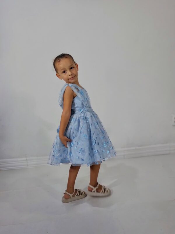 Vestido Encanto das Asas - Image 2