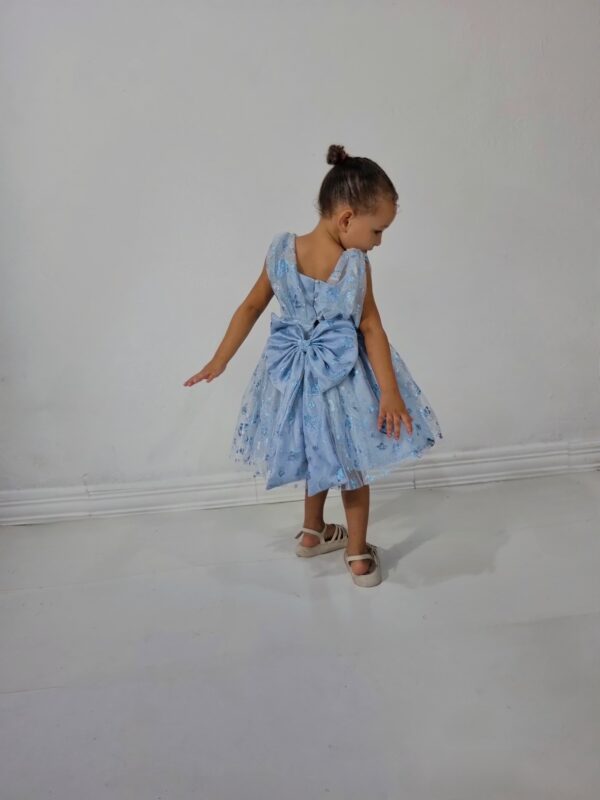 Vestido Encanto das Asas - Image 3